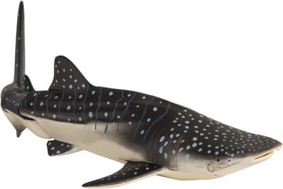 Walvis Haai Figuur - Miniatuur Zeedier - Dieren Verzamelen - Gelede Staart - 15 cm Lengte - Natuurgetrouw