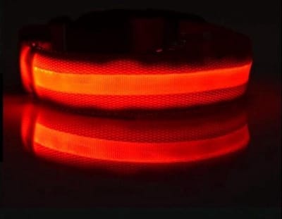 Ulanax® | LED halsband - Perfect voor puppy's en kleine honden - Verhoog de zichtbaarheid en veiligheid met deze lichtgevende halsband - Verkrijgbaar in rood en maat XS |