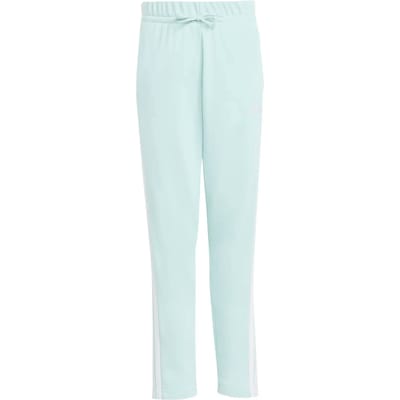 Adidas Essentials Joggers Blauw 14-15 Years Meisje
