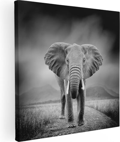 Artaza Canvas Schilderij Olifant Afrika - 30x30 cm - Klein - Wanddecoratie Woonkamer - Muurdecoratie Dieren - Kamer Accessoires Safari