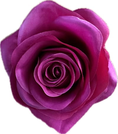 AMALIA FUCHSIA KUNSTROZEN - Rozenkoppen 12 stuks - Mooie Kwaliteit Kunstbloemen - Nepbloemen - Rozen zonder Steltjes - Kunstbloemen voor Decoraties/ Versieringen - DIY Bloemen - Rozen voor de Bloemenmuur