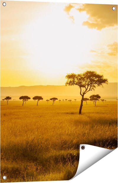 Gards Tuinposter Zonsondergang in de Savanne - 60x80 cm - Tuindoek - Tuindecoratie - Wanddecoratie buiten - Tuinschilderij