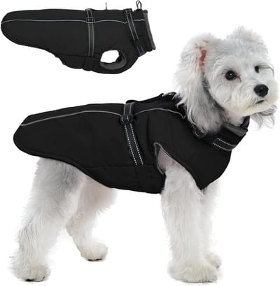 Hondenjas met tuigje - Winterjas hond - Warm en droog - Ingebouwd tuigje - Verstelbaar - Zwart