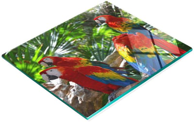 Decoratieve glazen snijplank voor in de keuken met afbeelding van een ara, 60x52 cm