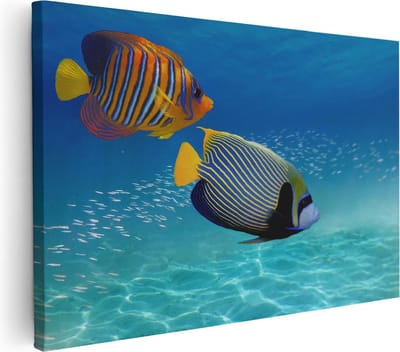 Artaza Canvas Schilderij Koraalvis - 30x20 cm - Klein - Wanddecoratie Vis - Muurdecoratie Zee - Kamer Accessoires Onderwaterwereld