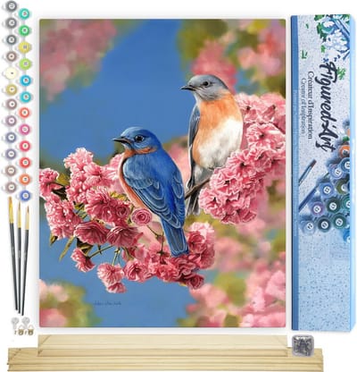 Figured'Art Schilderen op Nummer Volwassenen canvas Blauw vogelpaar - Handwerk acrylverf Kit DIY Compleet - 40x50cm met DIY houten lijst