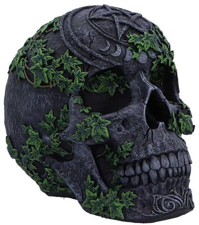 Nemesis Now - Gothic Schedel - Aged Pentagram Skull - voor Geen - meerkleurig