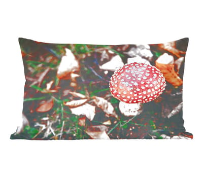 Sierkussens - Kussentjes Woonkamer - 50x30 cm - Herfst - Paddenstoel - Bladeren - Natuur