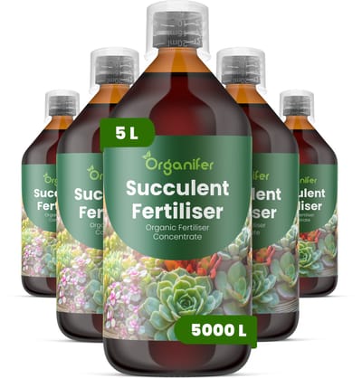 Vloeibare Meststof Voor Vetplant 5X1 L Voor 5000 L - Npk 2-1-8 - Ondersteunt Compacte - Gecontroleerde Groei Bij Vetplanten - Versterkt De Kleurintensiteit Van Het Blad En De Structurele Stevigheid - Voor Vetplanten Binnen En Buiten - Organifer