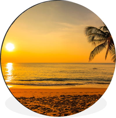 WallCircle - Wandcirkel - Muurcirkel - Palmboom - Strand - Zonsondergang - Zee - Aluminium - Dibond - 140x140 cm - Binnen en Buiten