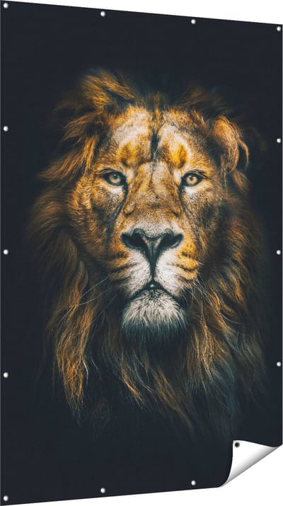 Gards Tuinposter Leeuw - Leeuwenkop - Kleur - 120x180 cm - Tuindoek - Tuindecoratie - Wanddecoratie buiten - Tuinschilderij