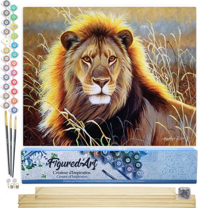 Figured'Art Schilderen op Nummer Volwassenen canvas Leeuw in de savanne - Handwerk acrylverf Kit DIY Compleet - 40x50cm met DIY houten lijst