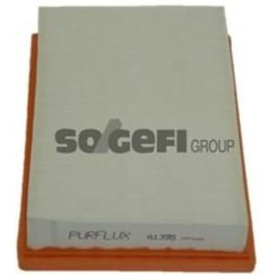 Luchtfilter PURFLUX A1395