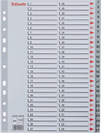 Esselte Index A4 - 0,12mm PP - Tabs 1-54 - 11-gaats - Grijs