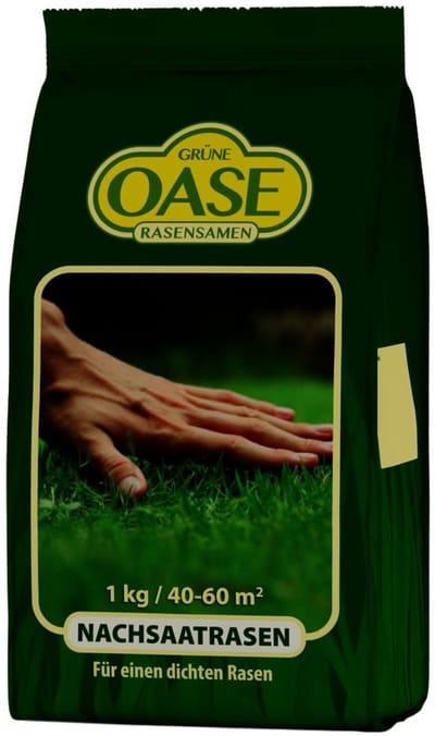 Graszaad Nazaaien - Gazon Herstel - Snel Groen Gazon - Geschikt Alle Gazons - 1 kg - Fris Groen