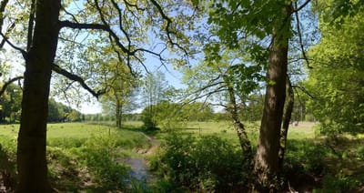 Fotobehang Quadenoordse beek met uitzicht op de weilanden 450 x 260 cm - € 295,--