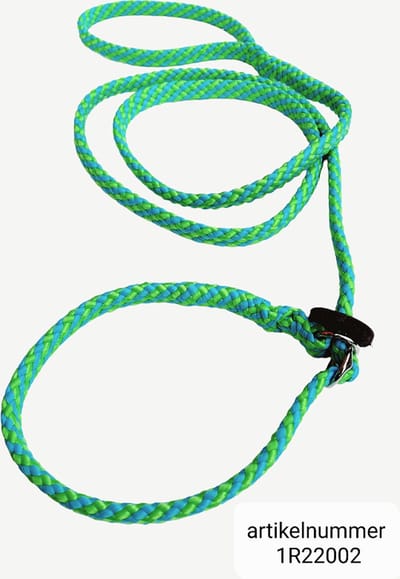 Abany quality design – 5 mtr groen blauw - jachtlijn - dubbele stop - retrieverlijn - wandelhoofdstel - lijn leiband met halsband - sliplijn met stop – half slip - puppylijn - vanglijn - mantrailing - 1R22002 - made in holland