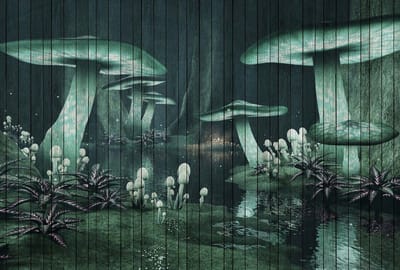 Fotobehang fantasy 1 DD113947 Livingwalls Walls by Patel | 3D Fotobehang