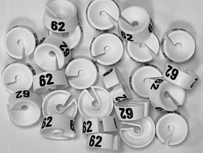 Bleijenberg Maatdopje maat 62 wit - Maataanduiding voor kledinghangers per 25 stuks - Maatringetje Ø 20 mm - Kledinghangers - Kleerhanger - Kapstok - Mark-Brics - wisersizer