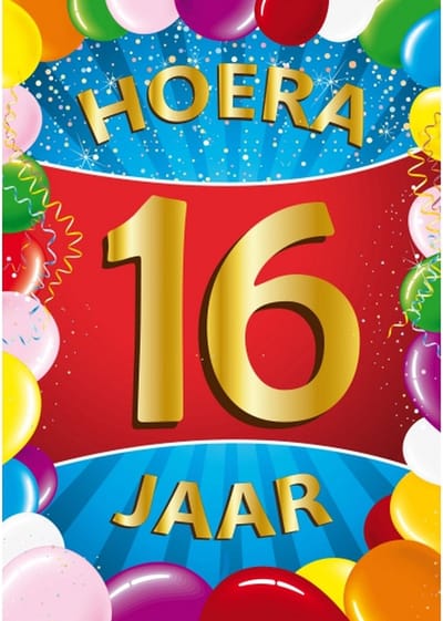 Bellatio Decorations Verjaardag deurposter - 2x - 16 jaar - multi - 59 x 84 cm - feestartikelen
