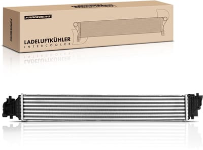 Frankberg 1x turbolader intercooler voor Honda Civic X FC FK Bj vanaf
