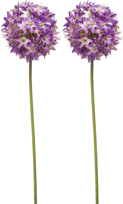 Emerald Allium/Sierui kunstbloem - 2x - losse steel - paars - 60 cm - Natuurlijke uitstraling