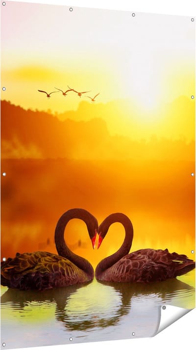 Gards Tuinposter Twee Zwarte Zwanen in een Hart Vorm - 120x180 cm - Tuindoek - Tuindecoratie - Wanddecoratie buiten - Tuinschilderij