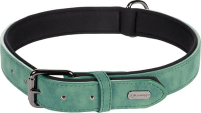 Flamingo Delu Met Neopreen - Halsband Honden - Halsband Delu Groen Xxl 52-62cm 30mm - 1st - 123547 - 1st