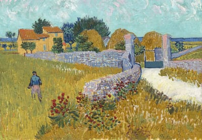 Bluebird Puzzle legpuzzel Vincent Van Gogh boerderij Provence 1000 stukjes.