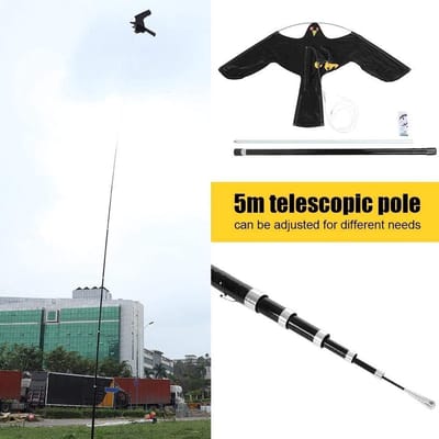 Vogel Eagle Vlieger - Vogelverschrikker met Telescopische Paal 7M