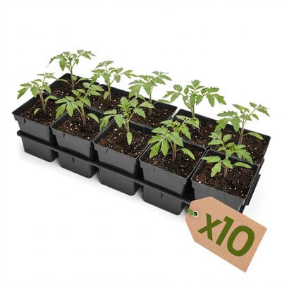 Garronda Set van 10 kweektrays met 10 x 1 L potten GD-KW-T