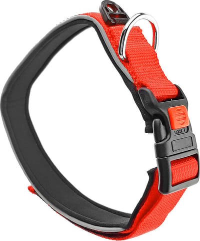 Nobleza Hondenhalsband - Maat S - Verstelbaar 38 / 44 cm - Zwemhalsband - Waterbestendige halsband hond - Reflecterend - Veiligheidssluiting - Rood