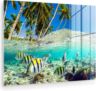 MuchoWow® Glasschilderij 120x90 cm - Schilderij acrylglas - Zee - Vissen - Koraal - Foto op glas - Muurdecoratie woonkamer - Wanddecoratie slaapkamer - Schilderijen
