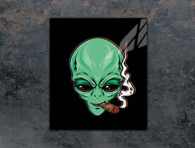 TMK ArtDeko - Snijplank van glas - 45x52 cm - UFO - Beschermende plaat