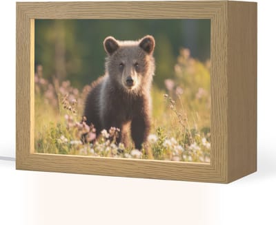 Nachtlampje 20x15 cm - Kinder lampje - Beer - Bloemenveld - Gras - Tafellamp kinderkamer - Slaapkamer lamp - Bedlamp kinderen - Kinderlampje stopcontact - Wandlamp babykamer - Nachtlampjes