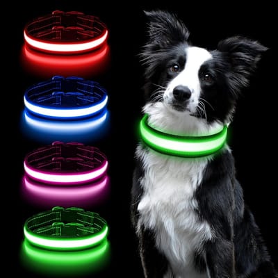 Verstelbare LED Hondenhalsband met Oplaadbare USB, Waterproof en 3 Verlichtingsmodi voor Kleine en Grote Honden