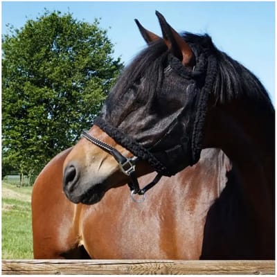 Anti-Vliegenmasker voor paarden zonder oren Kavalkade
