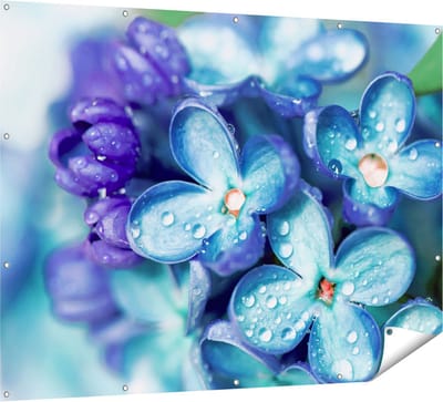 Gards Tuinposter Blauwe Lila Bloemen - Seringen - 160x120 cm - Tuindoek - Tuindecoratie - Wanddecoratie buiten - Tuinschilderij