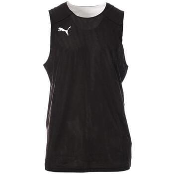 Top Puma Dach
