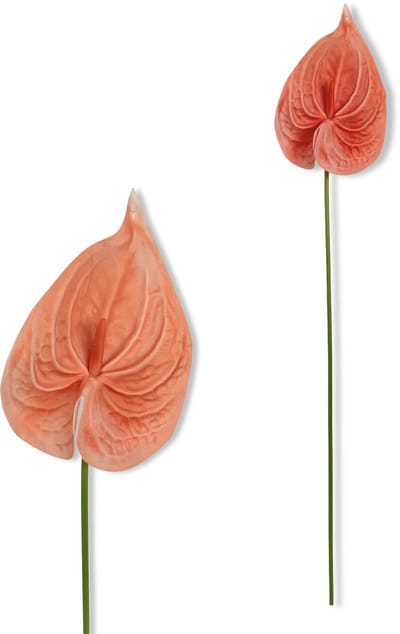 Inspiruj - Anturium piankowe - Kunstbloem - 57 cm - Oranje