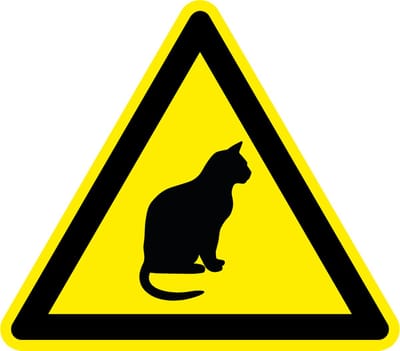 Pas op katten sticker 100 mm