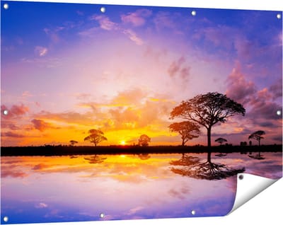 Gards Tuinposter Silhouet van Bomen tijdens Zonsondergang - 120x80 cm - Tuindoek - Tuindecoratie - Wanddecoratie buiten - Tuinschilderij