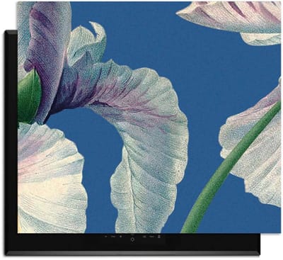 KitchenArt - Blue Iris Grace – Inductie Beschermer - 52x35 cm - Kookplaat Beschermer - Luxe Afdekplaat Inductieplaat - Anti-slip & Oprolbaar - Beschermmat Inductiekookplaat