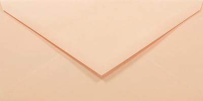 Gladde zalmkleurige enveloppen DL - 110 x 220 mm - 50 stuks - NK natgelijmde - 80 gram - Rainbow - Netuno
