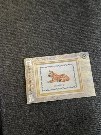Borduurpakket Permin Hondenserie 14-8386