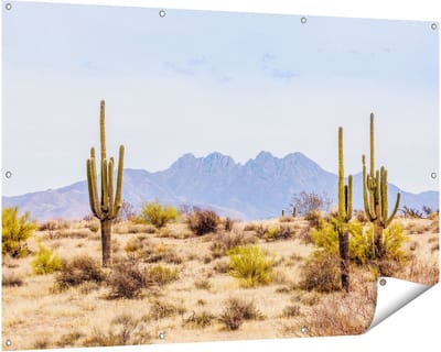 Gards Tuinposter Cactussen in de Woestijn - 150x100 cm - Tuindoek - Tuindecoratie - Wanddecoratie buiten - Tuinschilderij