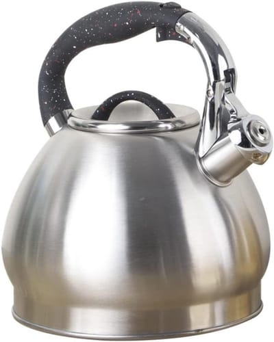 Waterketel Roestvrij Staal - Theeketel Fornuis - Water Koken - Fluitend Bij Kookpunt - 3.5 Liter - Zilverkleurig