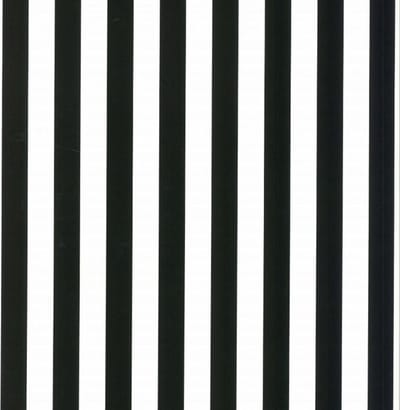 Behang Strepen - Zwart wit - Lijnen - Streep behang- Slaapkamer behang - Vliesbehang - 0,53x10,05M Fabulous World