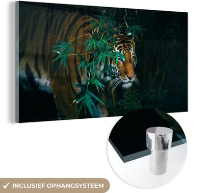 MuchoWow® Glasschilderij 40x20 cm - Schilderij acrylglas - Tijger - Dieren - Jungle - Foto op glas - Schilderijen