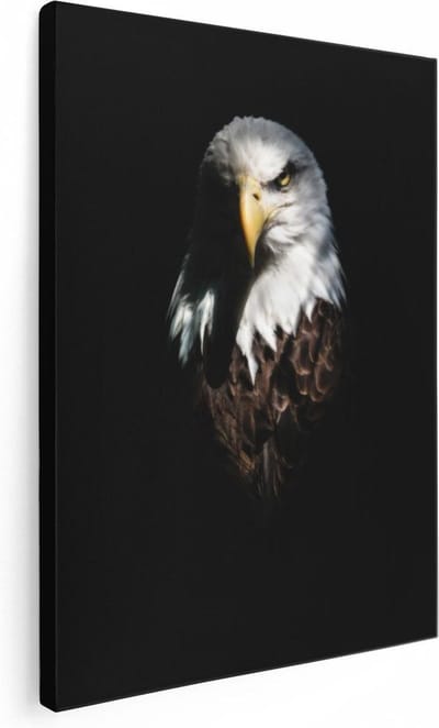Artaza Canvas Schilderij Arend - 30x40 cm - Klein - Wanddecoratie Dierenkop - Muurdecoratie Vogel - Kamer Accessoires